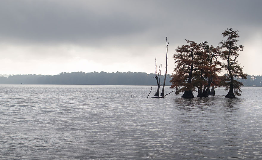 Reelfoot Lake State Park